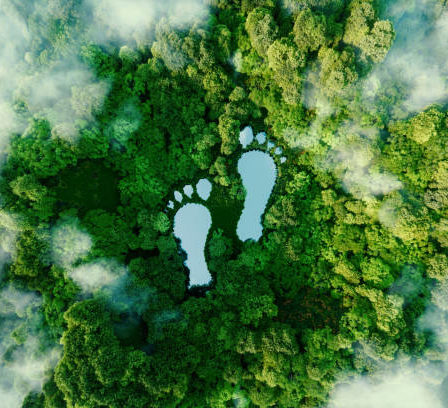 L’environnement est notre bien commun. Il est donc essentiel de prendre soin de notre planète au quotidien. Pour cela, il existe