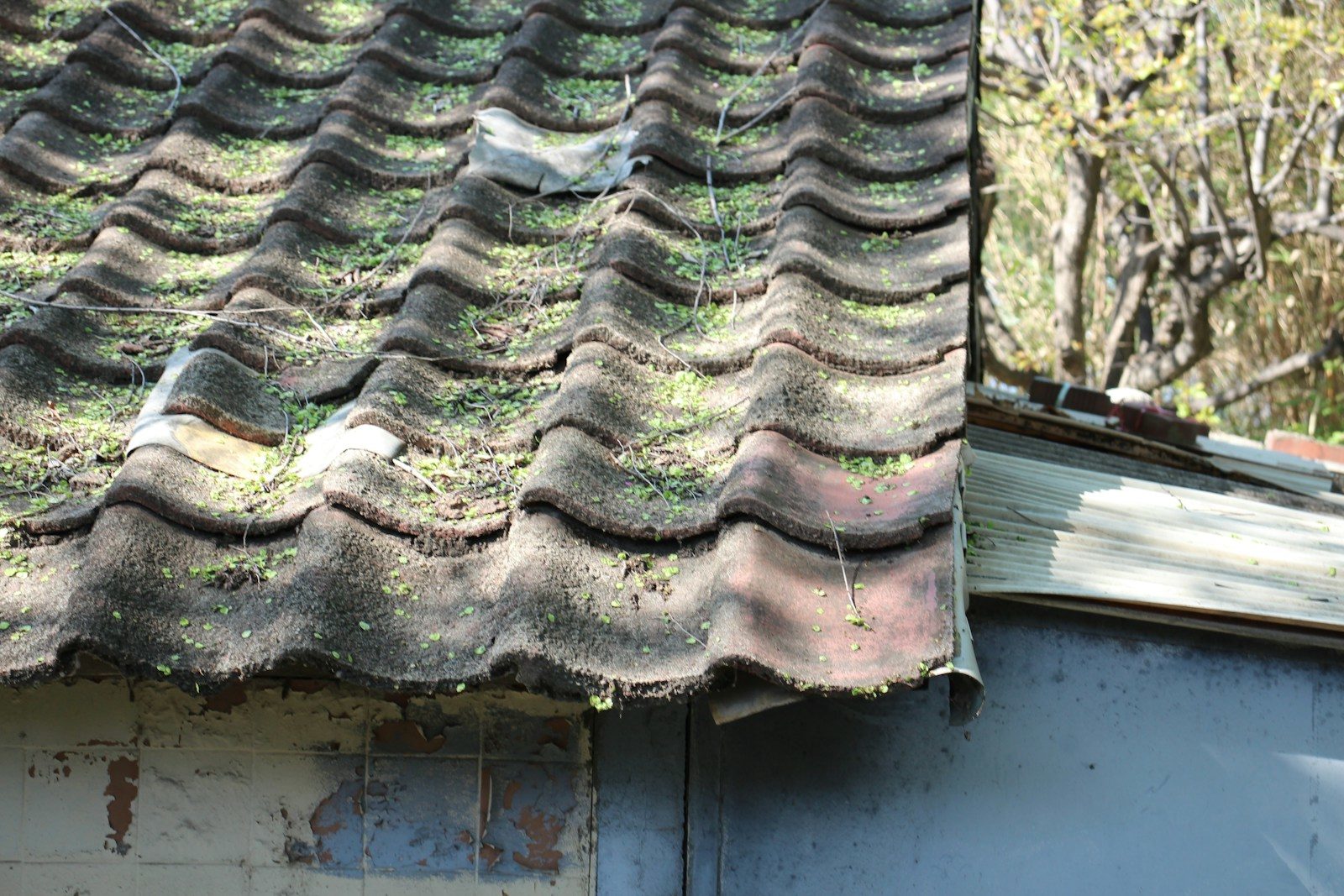 nettoyage de toiture dans les Yvelines (78)