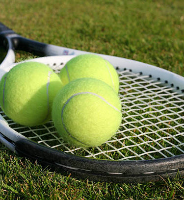 construction court de tennis en gazon synthétique à Angers