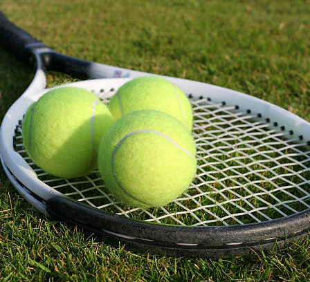 construction court de tennis en gazon synthétique à Angers